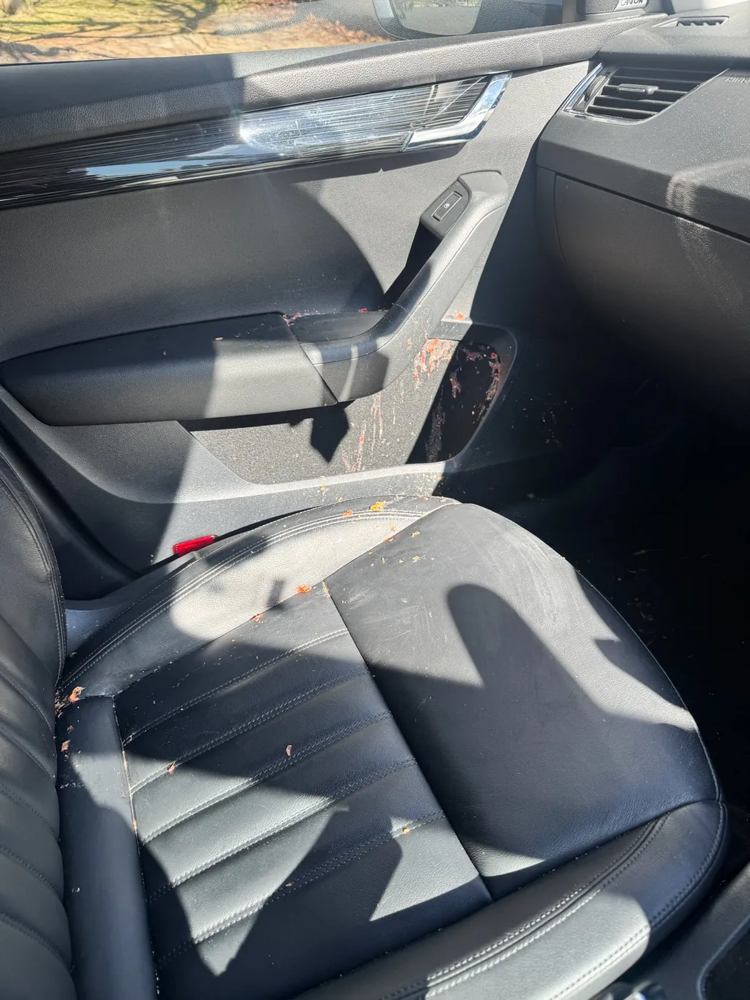 Before: heavily soiled back seat interior